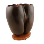 Coco de Mer on stand